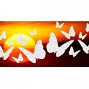 Asociación Mariposas Blancas